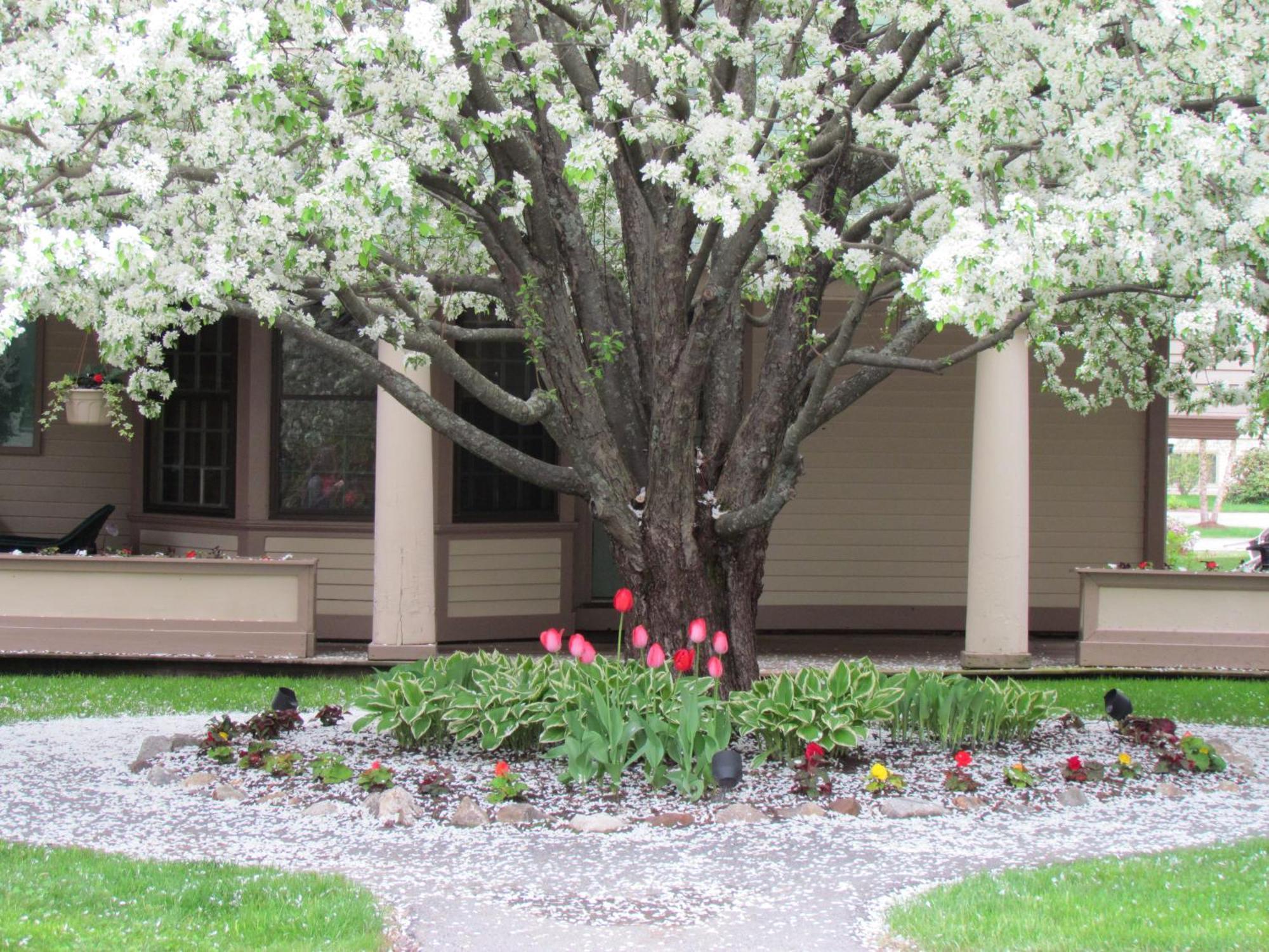 The Wentworth Hotel Jackson Luaran gambar